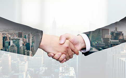 辦理公司執(zhí)照：流程、所需材料及注意事...